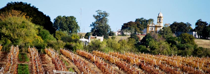 Rota do Azeite e Vinho - Punta Del Este | Uruguai